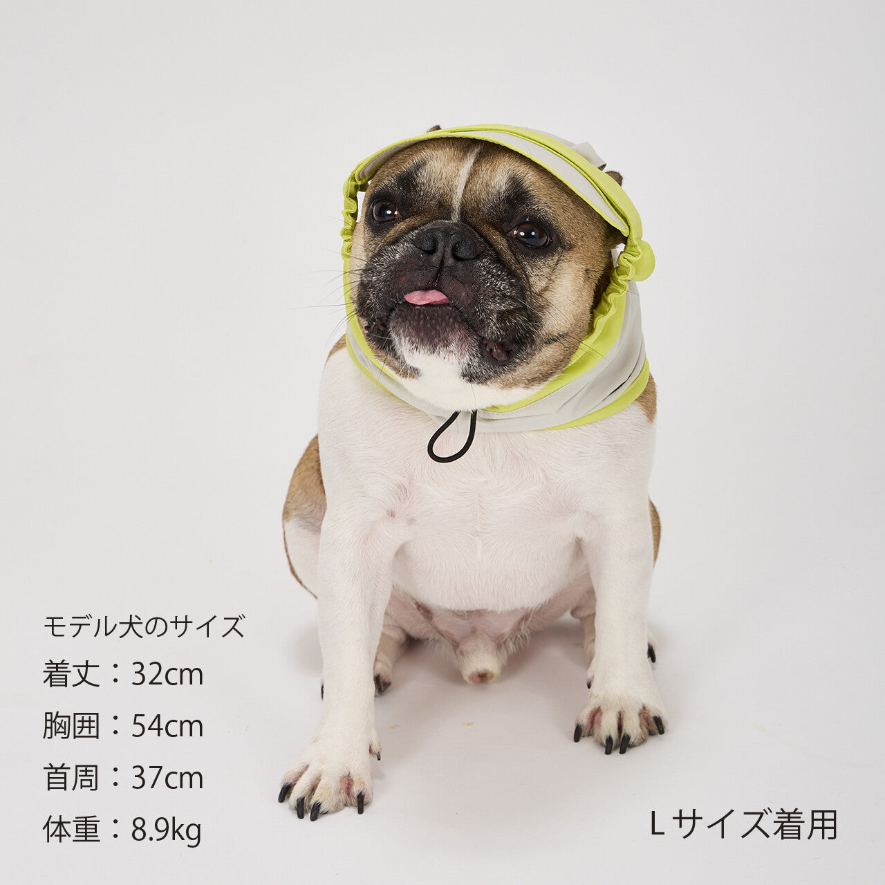 Mandarine Brothers UV Protection Snood for Dogs / UV Care