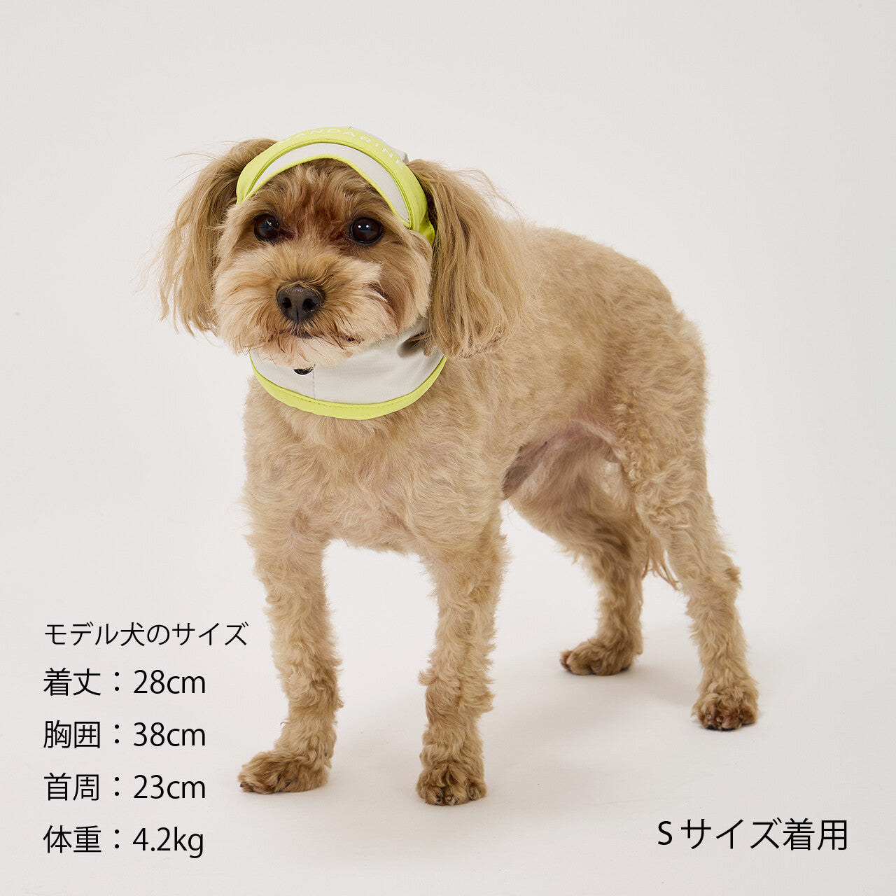 Mandarine Brothers UV Protection Snood for Dogs / UV Care