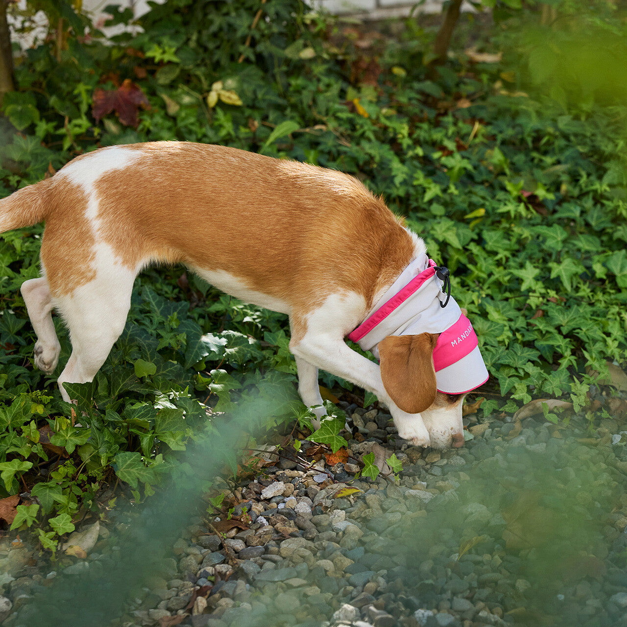 Mandarine Brothers UV Protection Snood for Dogs / UV Care