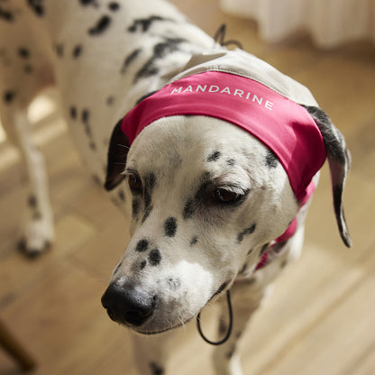 Mandarine Brothers UV Protection Snood for Dogs / UV Care