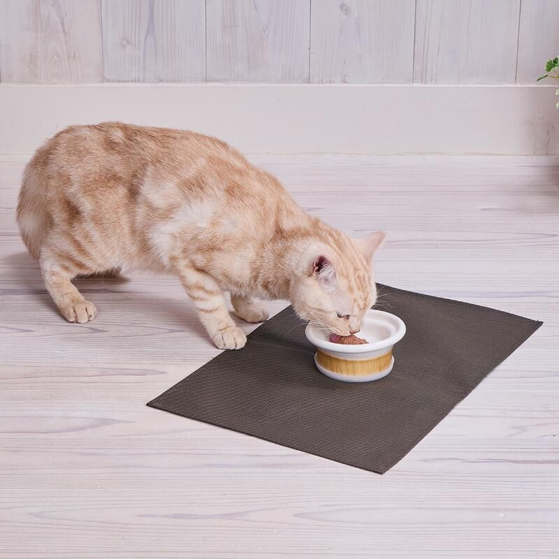 Petio Necoco Easy-to-Eat Ceramic Pet Bowl – Woodgrain Design