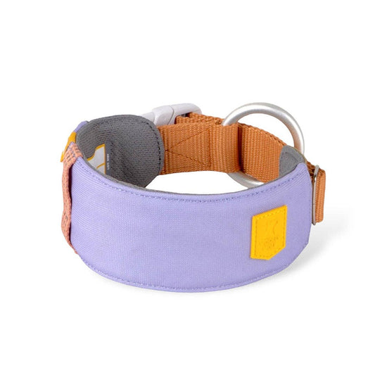 Alpha 360 Dog Collar Recycled (RPET)