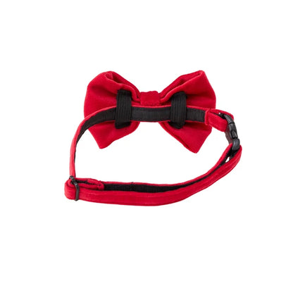 Mandarine Brothers Pet Bow Tie With Collar