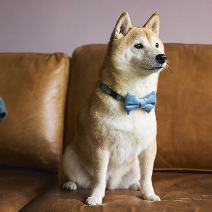 Mandarine Brothers Pet Bow Tie With Collar