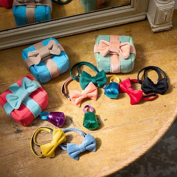 Mandarine Brothers Pet Bow Tie With Collar