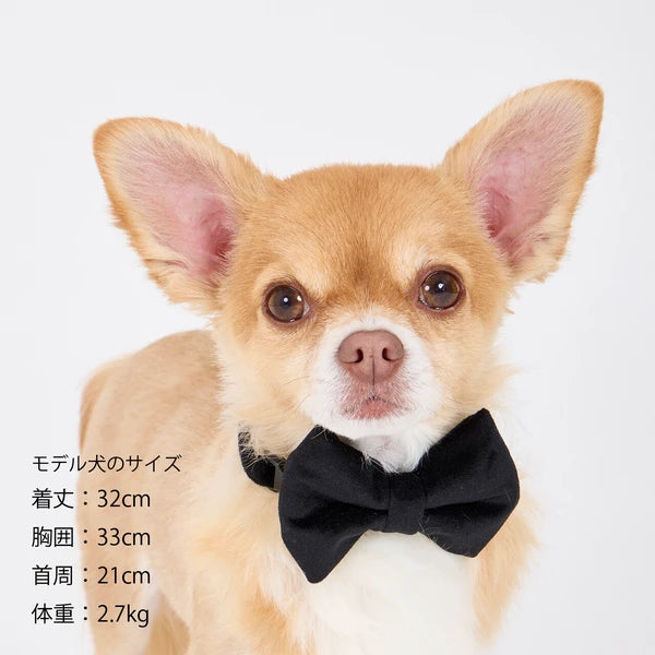Mandarine Brothers Pet Bow Tie With Collar
