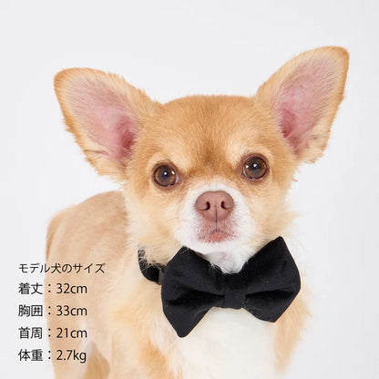 Mandarine Brothers Pet Bow Tie With Collar