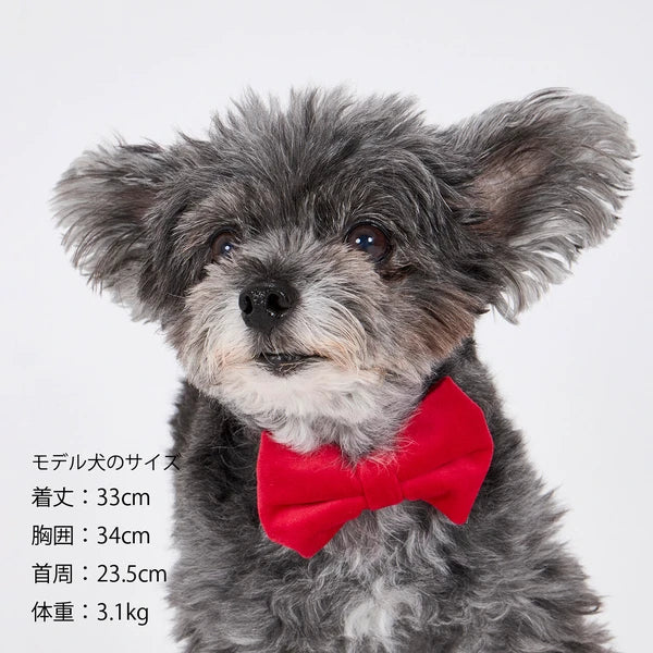Mandarine Brothers Pet Bow Tie With Collar