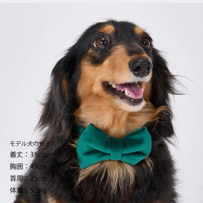 Mandarine Brothers Pet Bow Tie With Collar
