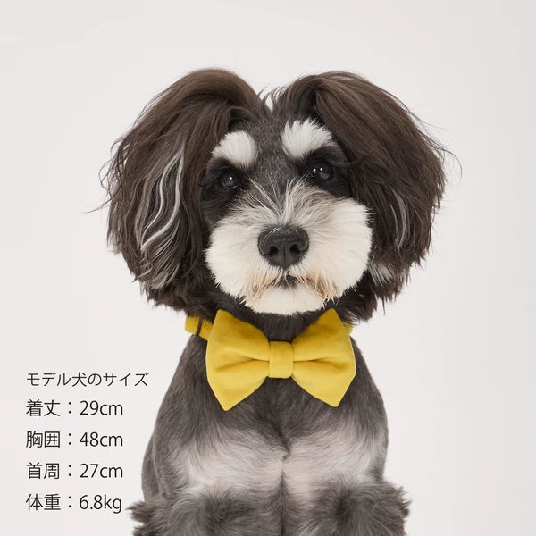 Mandarine Brothers Pet Bow Tie With Collar