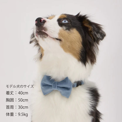Mandarine Brothers Pet Bow Tie With Collar