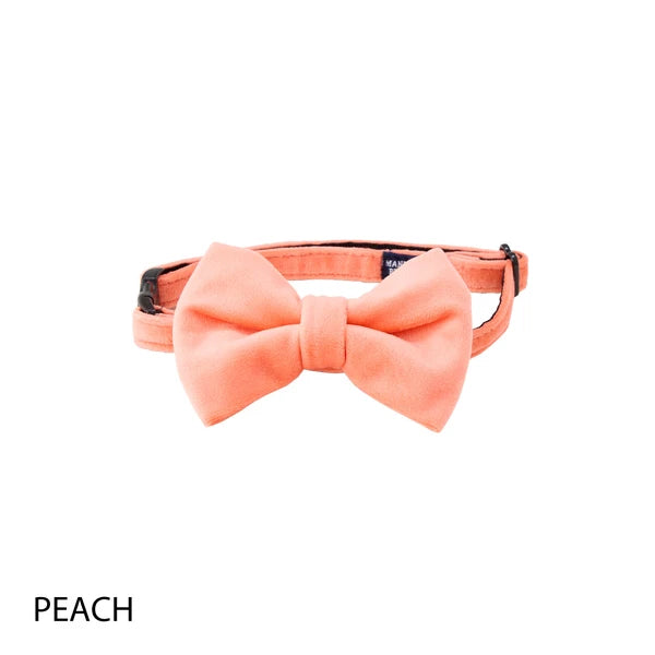 Mandarine Brothers Pet Bow Tie With Collar