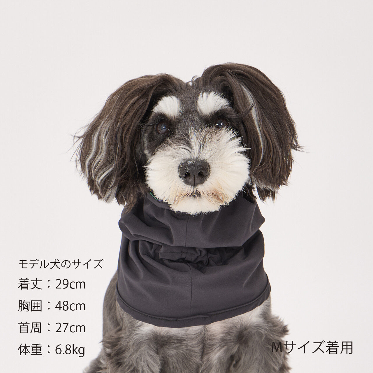 Mandarine Brothers Reversible Snood for Dogs