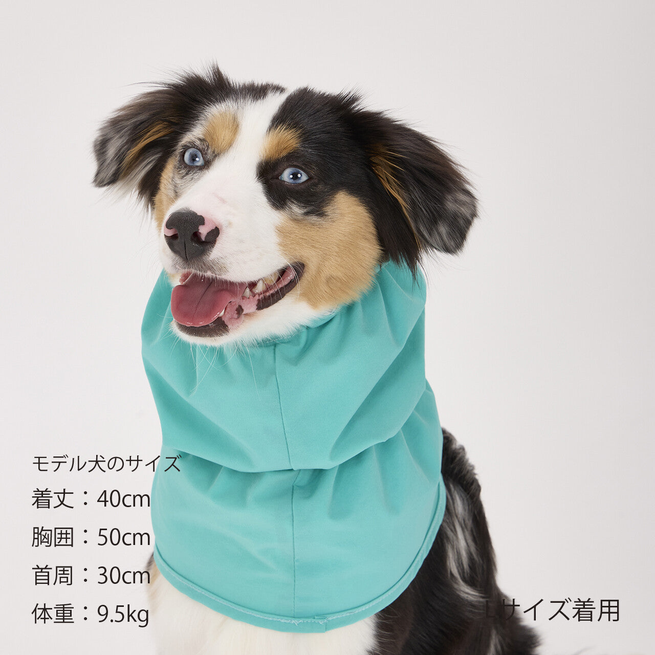 Mandarine Brothers Reversible Snood for Dogs