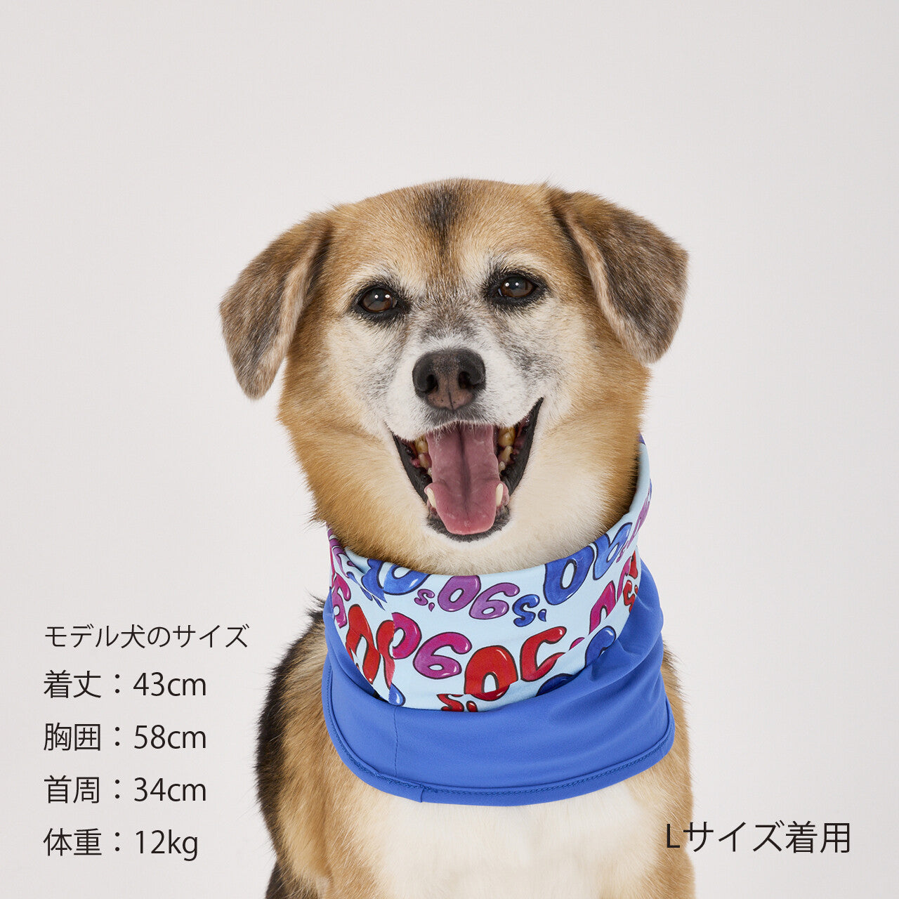 Mandarine Brothers Reversible Snood for Dogs