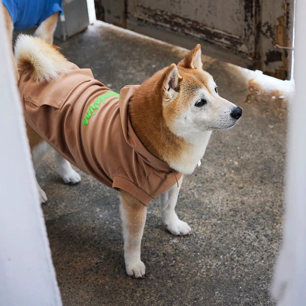 Mandarine Brothers Silky Hoodie Dog Wear