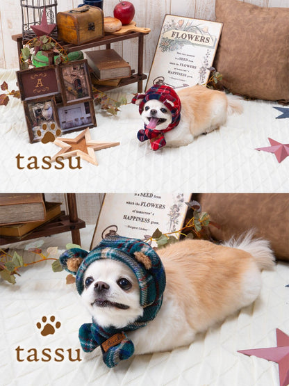 Tassu Gluck Hooded Scarf