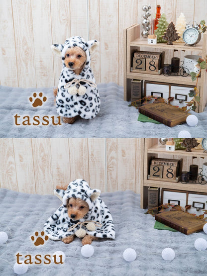 Tassu Leopard Print Hooded Poncho
