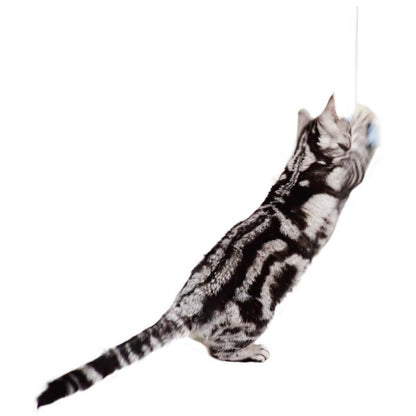 Pets Route Kasha Kasha Super Long Moth Cat Teaser Wand