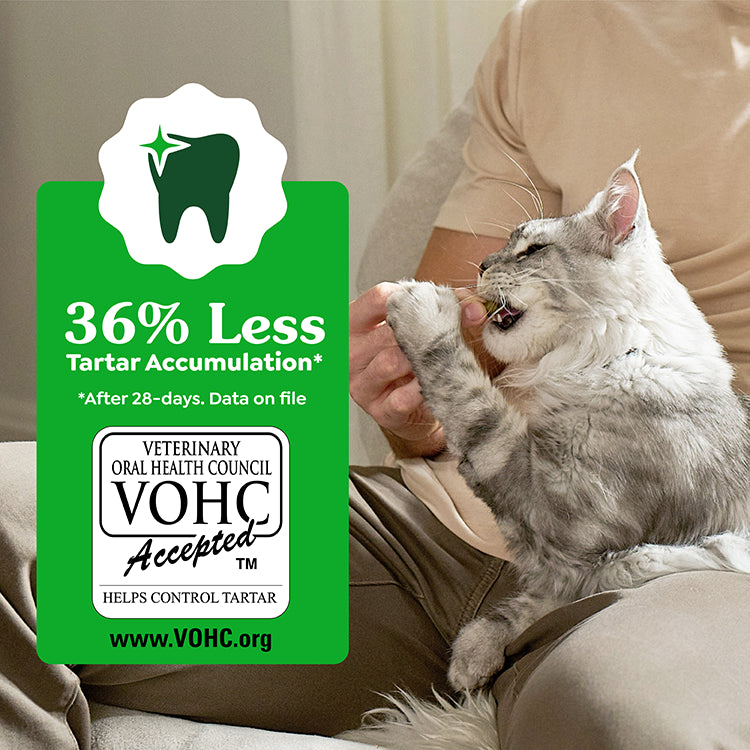 GREENIES Feline Dental Cat Treats Oven Roasted Chicken