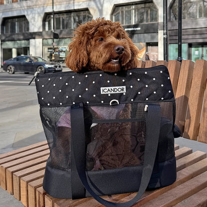 iCANDOR Brisbane Bag_Capri Black