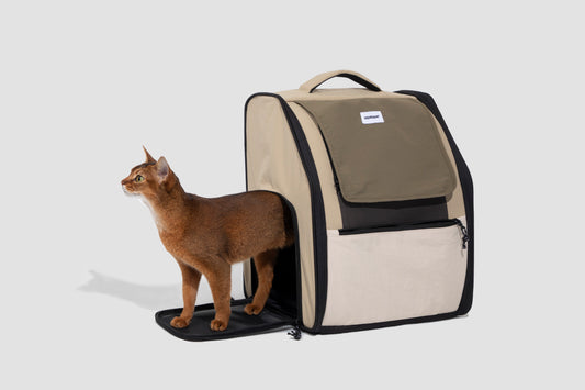 First Class Cat Backpack - Chestnut
