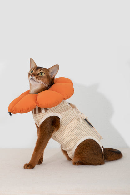 Hidream Cat Anti-Escape Recovery Suit