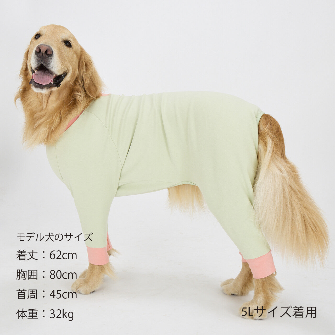 Mandarine Brothers Tender Care Dog Pajama Romper