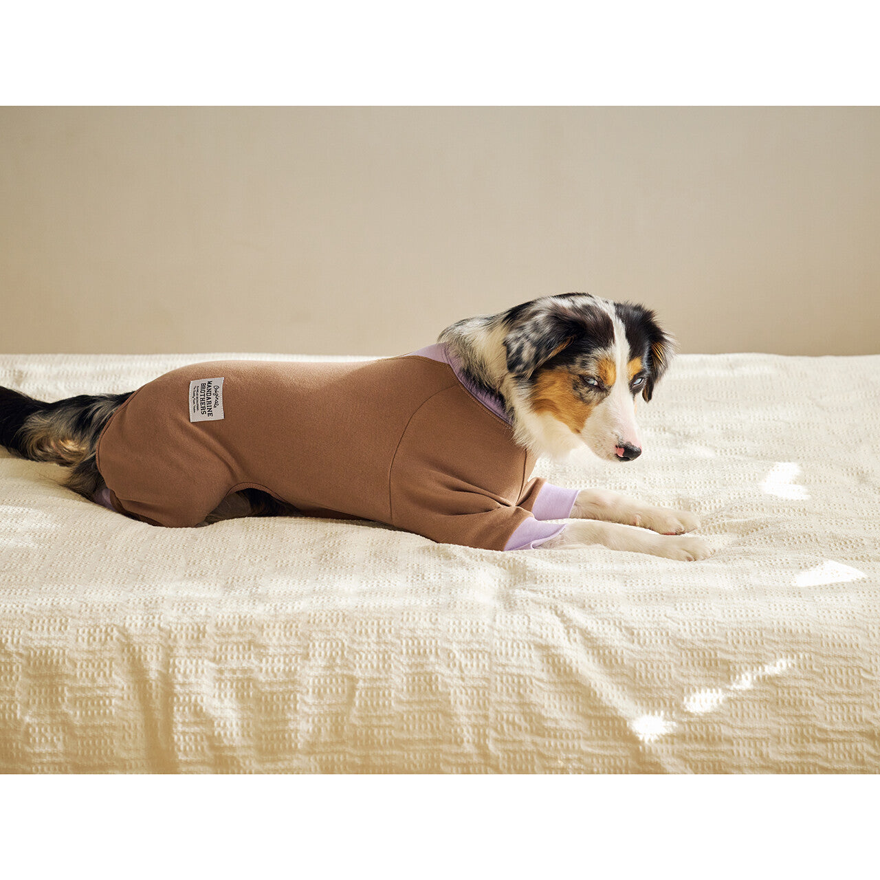 Mandarine Brothers Tender Care Dog Pajama Romper