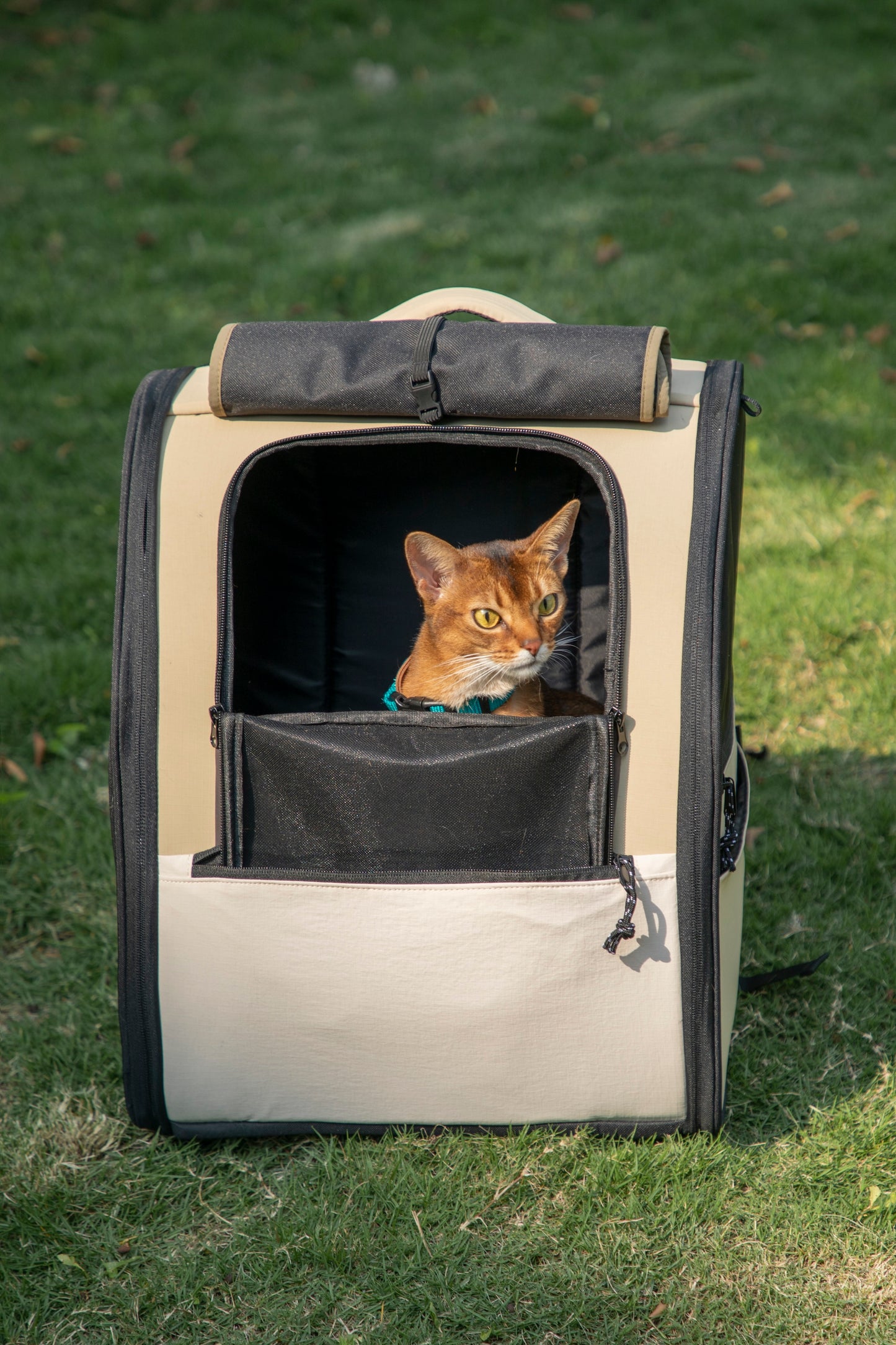 First Class Cat Backpack - Chestnut