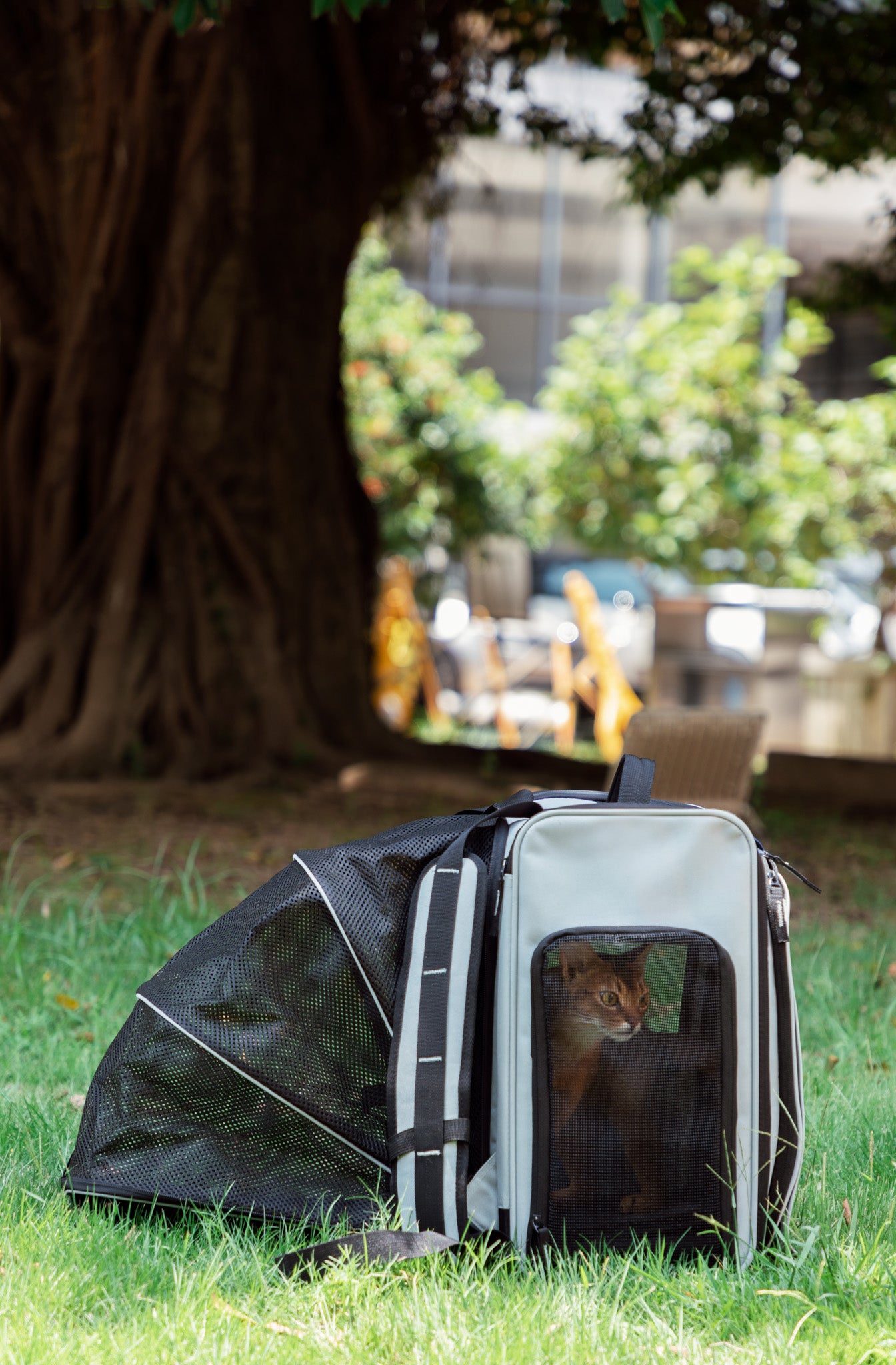 Pet Tent Backpack - Volcanic Grey