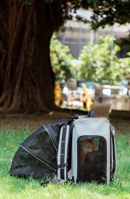 Pet Tent Backpack - Volcanic Grey