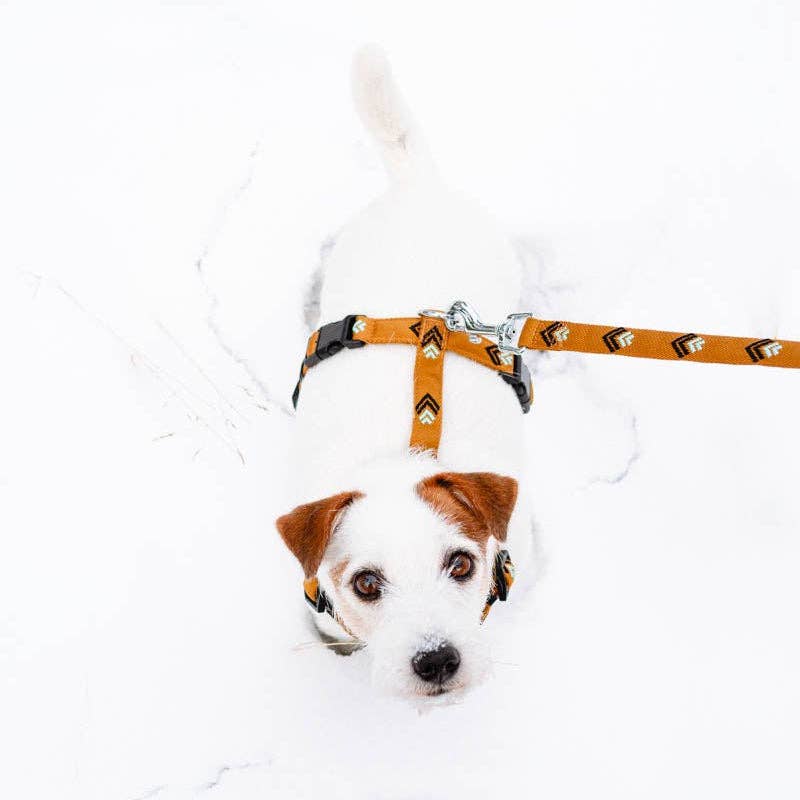 Woolly Wolf Sea To Summit Dog Leash