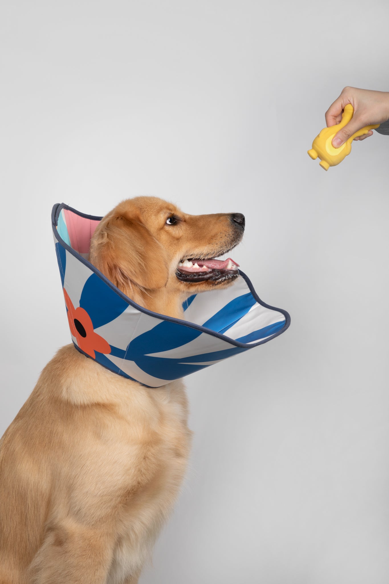 Hidream Soft Pet Recovery Collar/Elizabeth Collar/Dog Cone