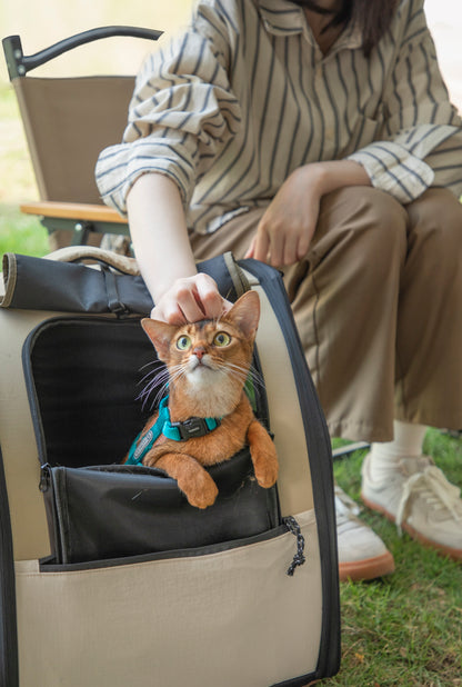 First Class Cat Backpack - Chestnut