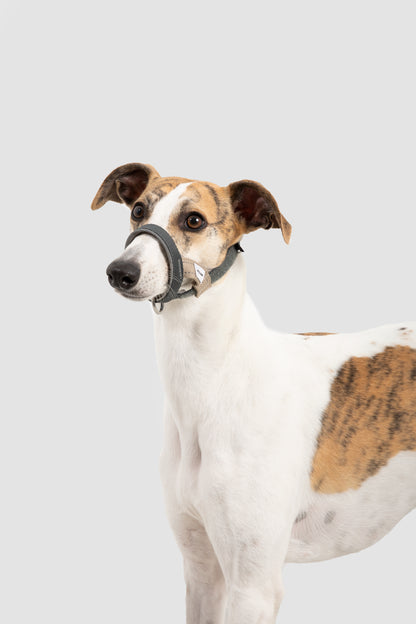 HiDream Head Control Halter | Multi-Function Training Dog Muzzle