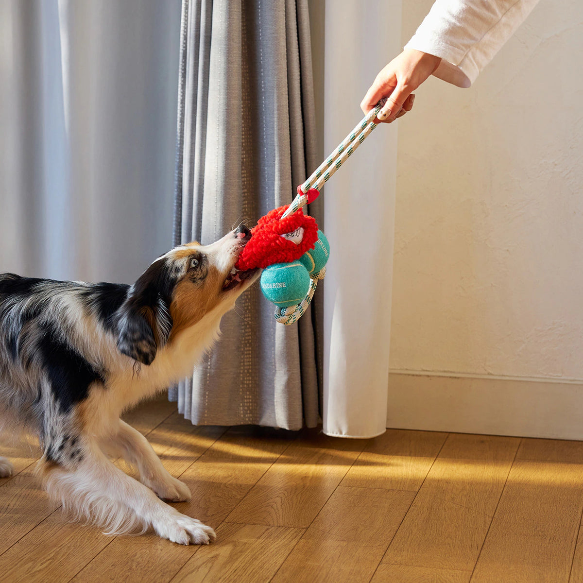 Mandarine Brothers PARI-PARI BOOSTER Dog Toy