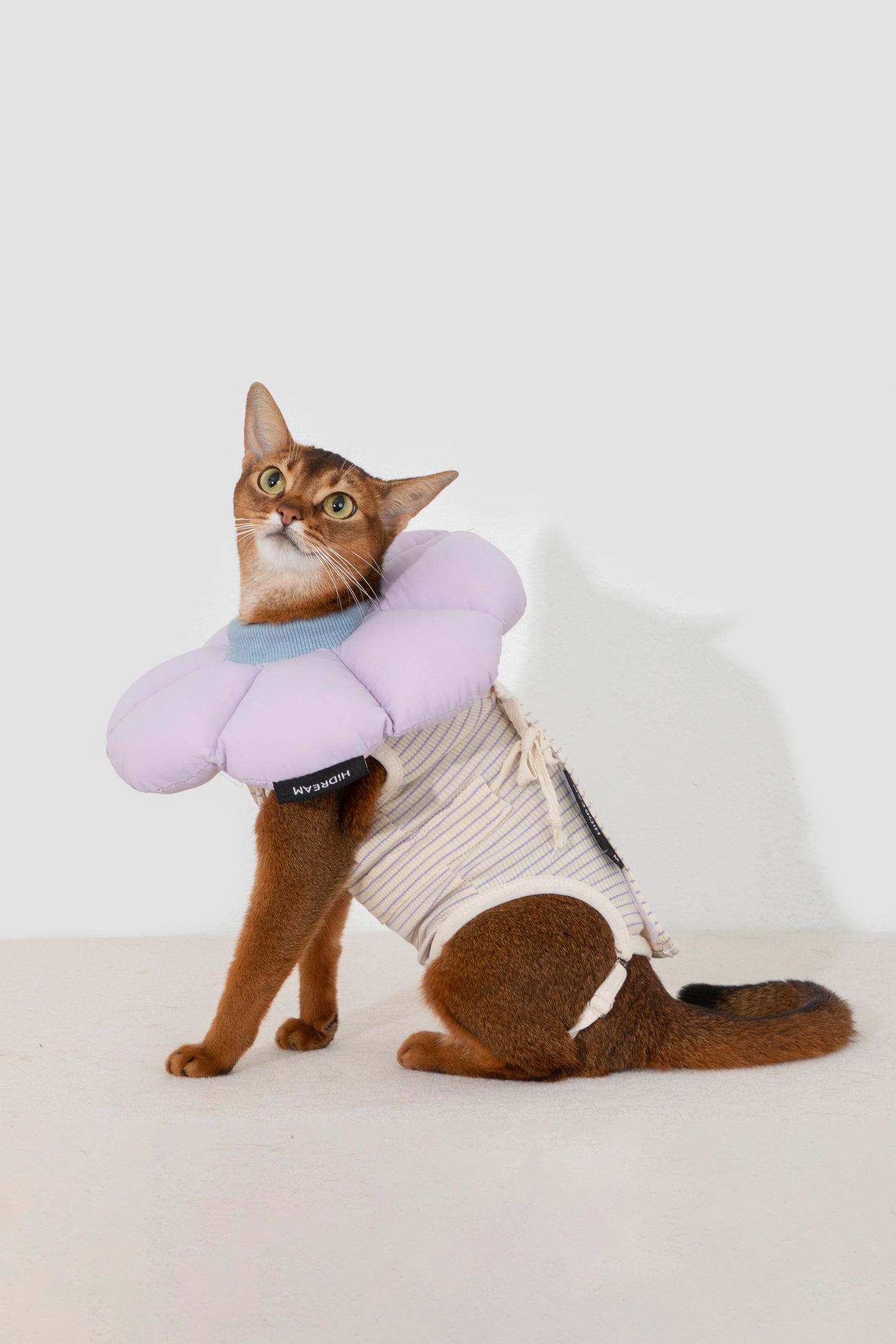 Hidream Cat Anti-Escape Recovery Suit