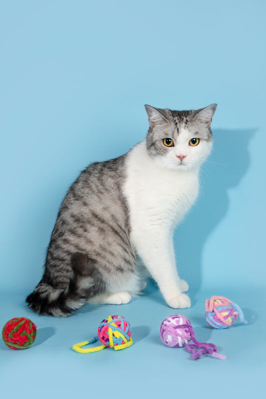 Cat Rope Ball Toy – Assorted Colours