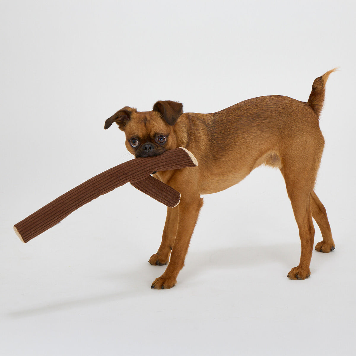 Mandarine Brothers Wood Stick Plush Dog Toy