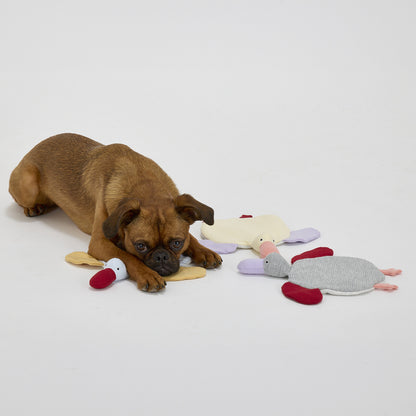Mandarine Brothers Tender Care Flat Peggy Dog Toy