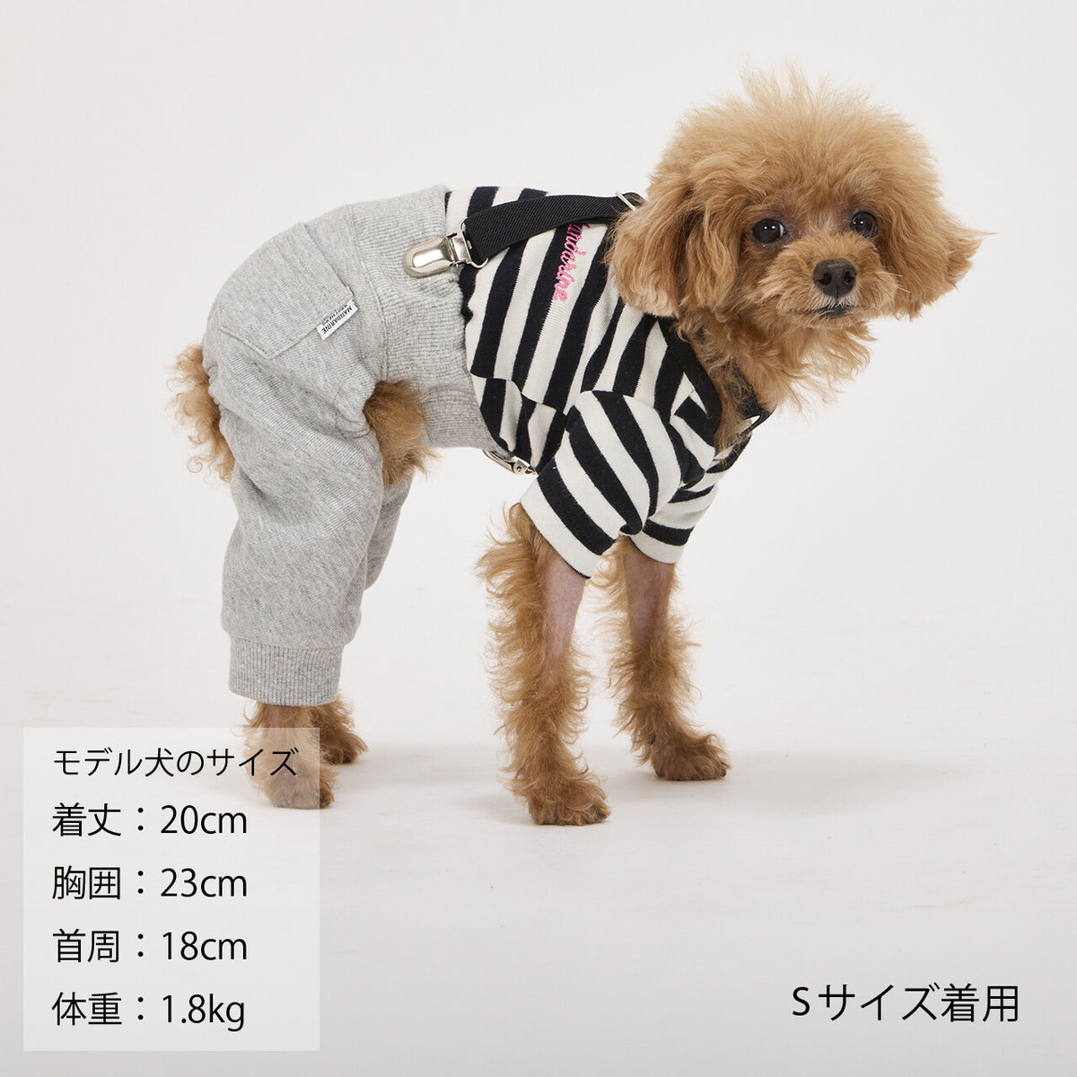Mandarine Brothers Pet Suspenders
