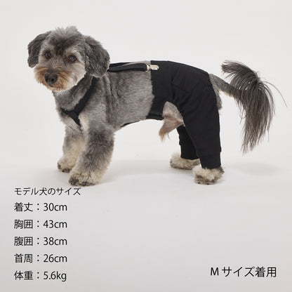 Mandarine Brothers Pet Suspenders