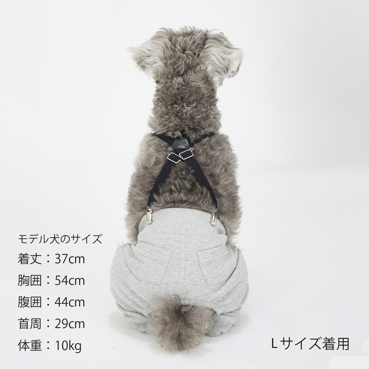 Mandarine Brothers Pet Suspenders