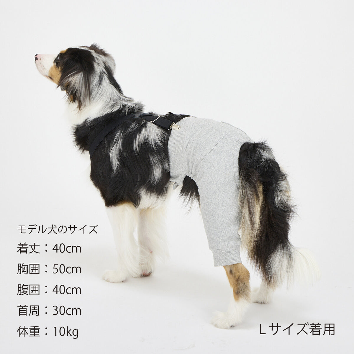 Mandarine Brothers Pet Suspenders