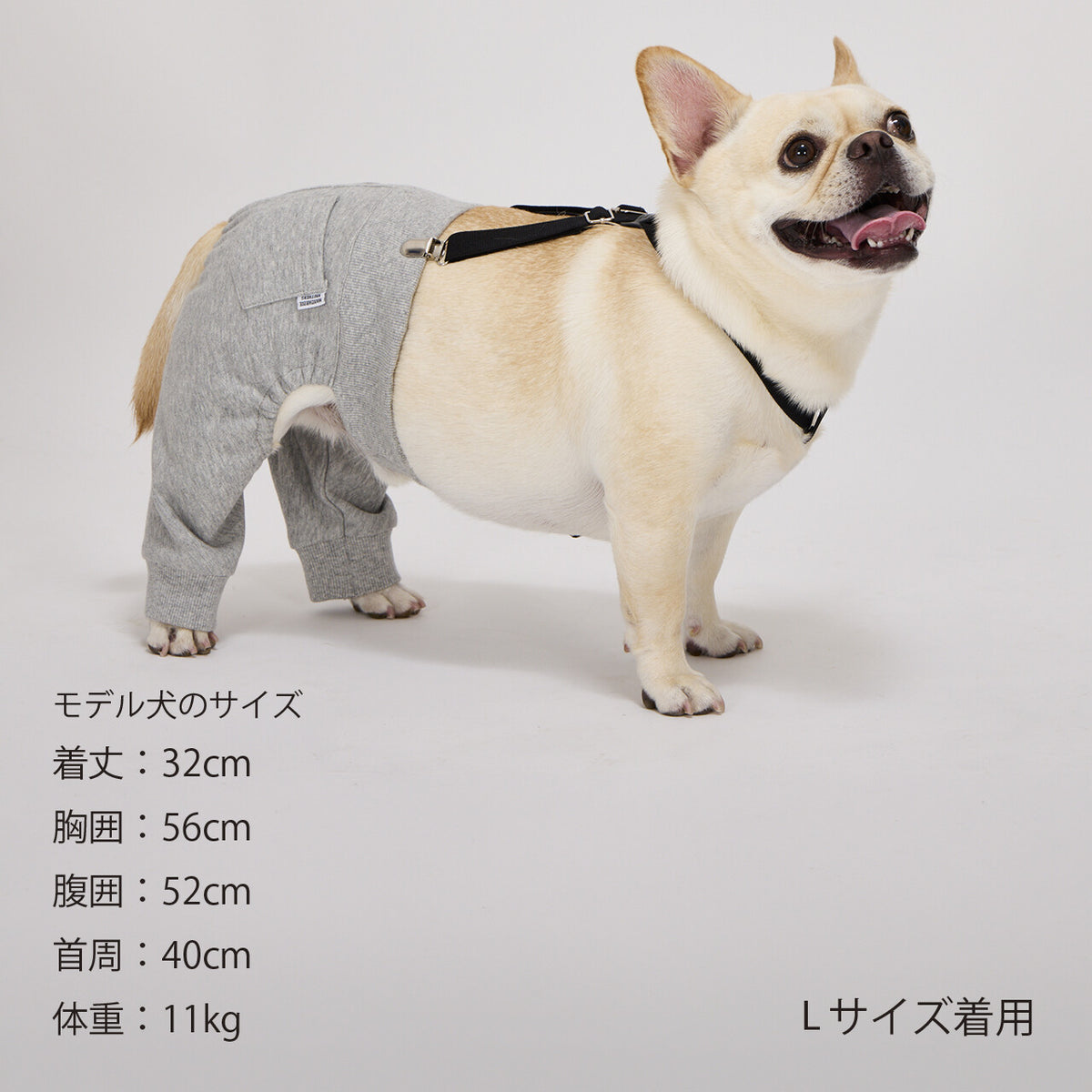Mandarine Brothers Pet Suspenders