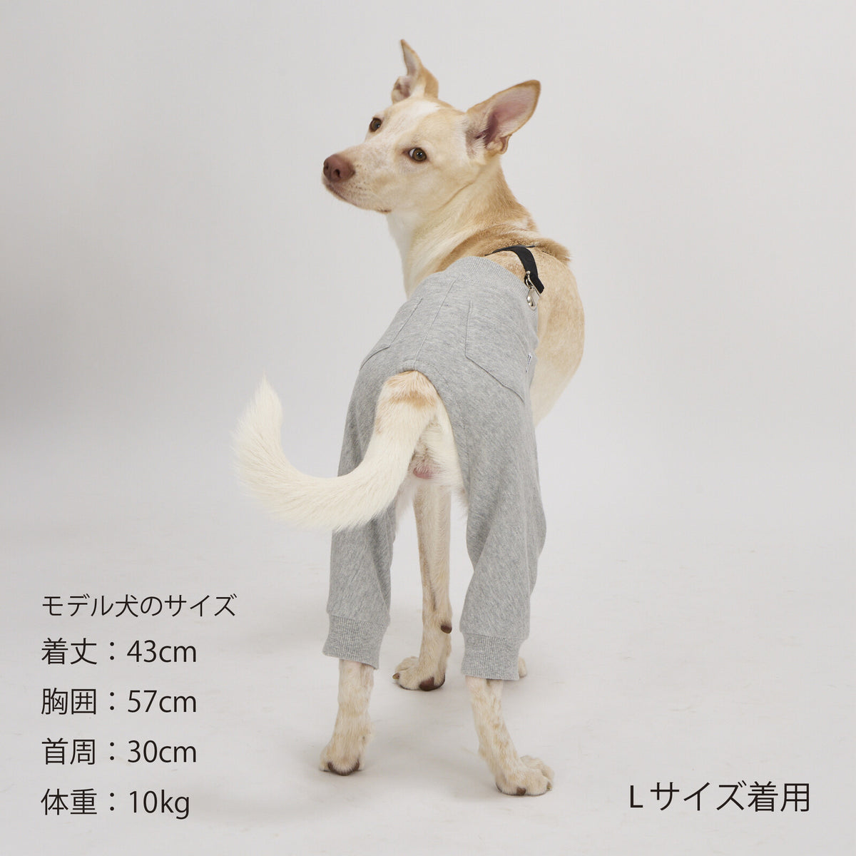 Mandarine Brothers Pet Suspenders