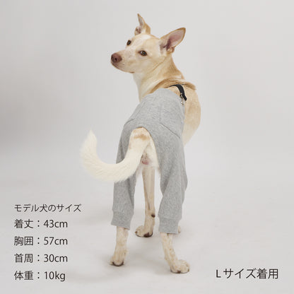Mandarine Brothers Pet Suspenders