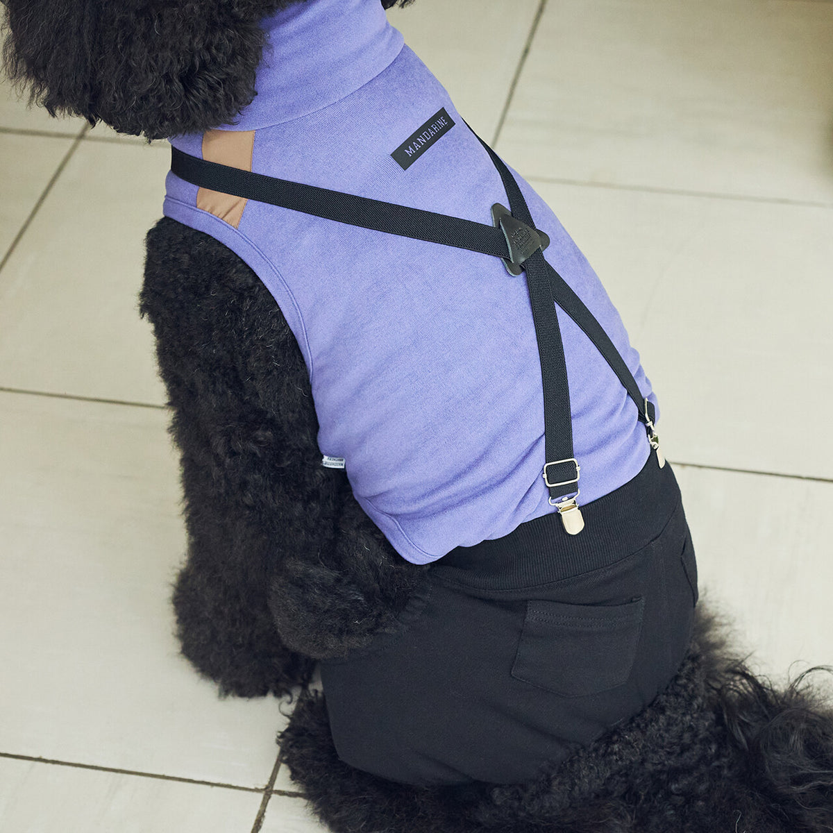 Mandarine Brothers Pet Suspenders