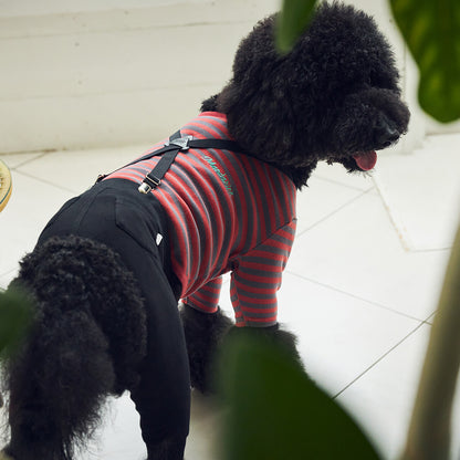 Mandarine Brothers Pet Suspenders